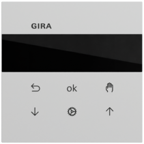 reloj pers./temp. S3000 Display System 70 gris m(pint.)