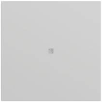 tec.basc. 1e s/impr. vis.ctrl. System 70 gris m(pint.)