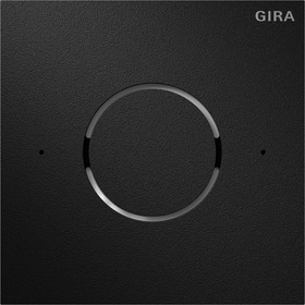 Sistema 106 Módulo de voz IP Aluminio negro