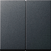 tec.basc. 2e + jg.IP44 Standard 55, Gira E2 antracita