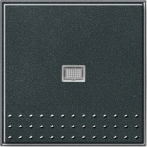 tec.basc. int.ctrl.ps. Gira TX_44 antracita
