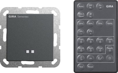 Sensotec + ctrl.remoto System 55 antracita