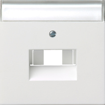 cub. CR UAE/IAE + caja conex.red Gira F100 blanco