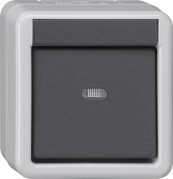 acopl.bus ps. 1e luz pil. + 1 punto KNX Mont.sup. prot.agua gris