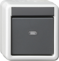 acopl.bus ps. 1e luz pil. + 2 puntos KNX Mont.sup. prot.agua gris