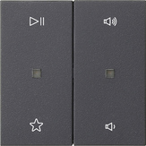 tec.basc.2e ctrl.audio System 55 antracita