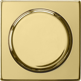 placa botón System 55 latón