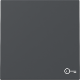 tec.basc. sím.puerta System 55 antracita