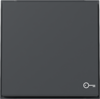 tec.basc. sím.puerta Gira TX_44 (IP44) antracita