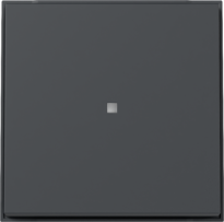 tec.basc. vis.ctrl. Gira TX_44 (IP44) antracita