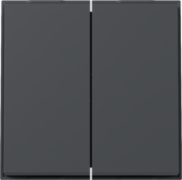 tec.basc.2e Gira TX_44 (IP44) antracita