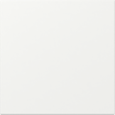 Tecla simple recta System 55 blanco mate