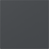 tec.basc. rectao vis.ctrl. System 55 antracita