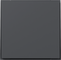 Tecla simple recta GIRA TX_44 antracita