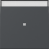 tec.basc vis.ctrl. + CR System 55 antracita