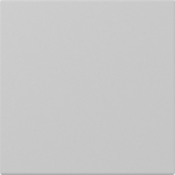 Tecla simple recta System 55 gris mate