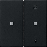 5381005