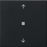 5382005