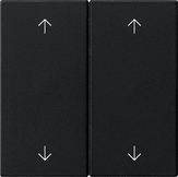 5387005